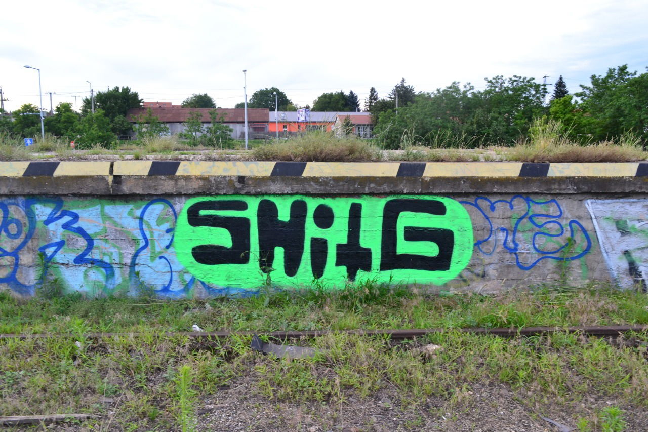 Graffiti Bombing - Photo by dirtyartterror - shitg, dat, rhl (2016)