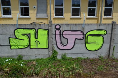 Graffiti Bombing - Photo by dirtyartterror - shitg, dat, rhl (2016)