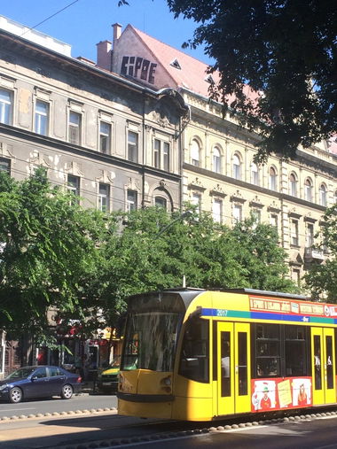 Graffiti Bombing - Photo by dirtyartterror - cipoe, rooftop (2016)