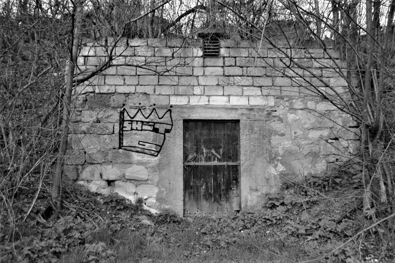 Graffiti Bombing - Photo by dirtyartterror