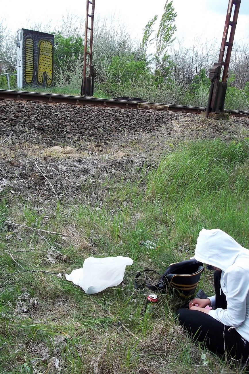 Graffiti Bombing - Photo by dirtyartterror - trainline (2014)