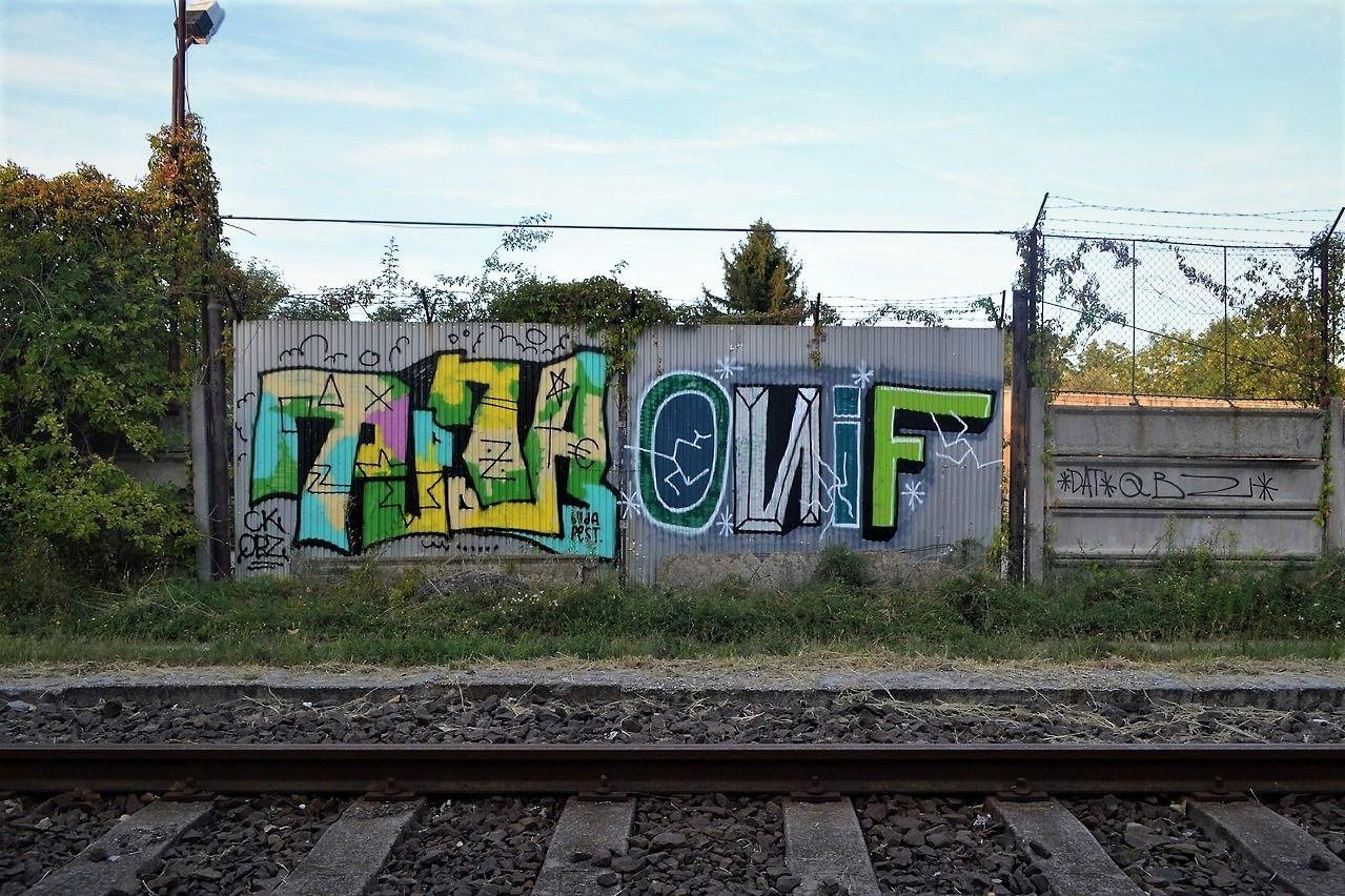 Graffiti Bombing - Photo by dirtyartterror - tuna, qbz, ck (2017)