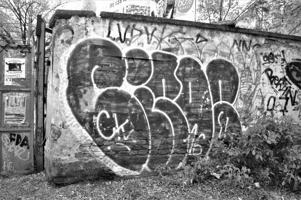 Graffiti Bombing - Photo by dirtyartterror - CIPOE (2016)