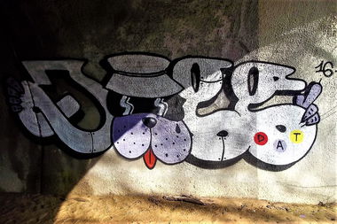 Graffiti Bombing - Photo by dirtyartterror - DOGG (2016)