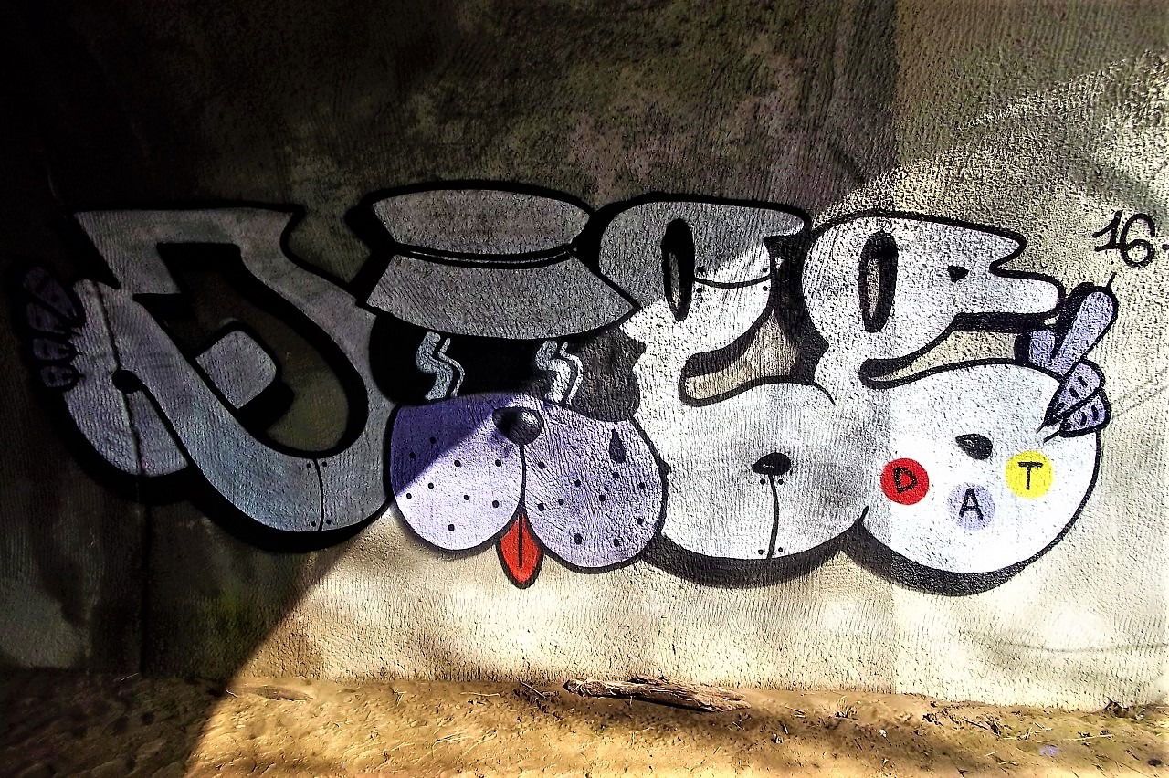 Graffiti Bombing - Photo by dirtyartterror - DOGG (2016)