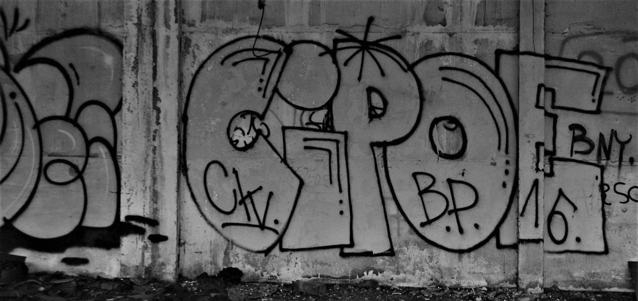 Graffiti Bombing - Photo by dirtyartterror (2016)