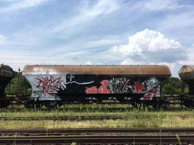 Graffiti Train - Photo by dirtyartterror - mustafa, tae, dat (2018)