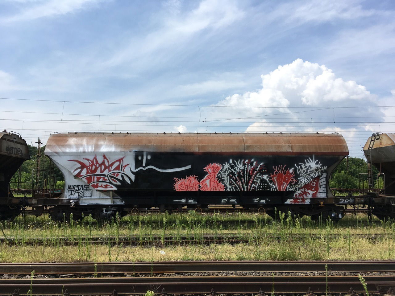Graffiti Train - Photo by dirtyartterror - mustafa, tae, dat (2018)