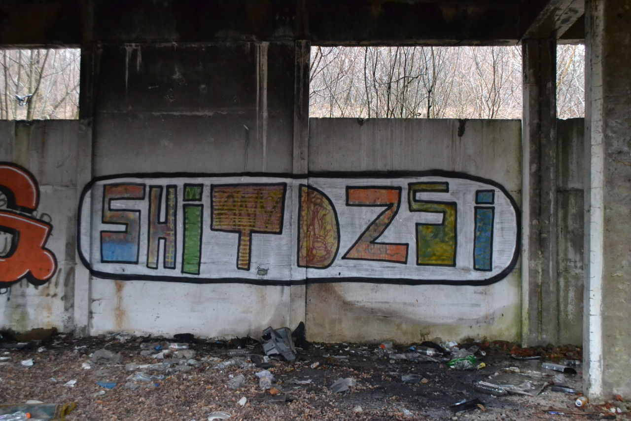 Graffiti Bombing - Photo by dirtyartterror - shitdzsi, dat, rhl (2016)