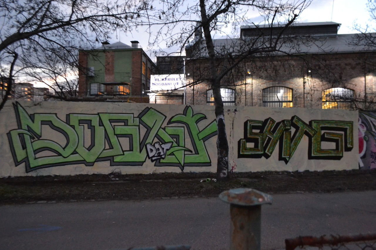 Graffiti Wall - Photo by dirtyartterror - dogg, shitg, dat (2015)