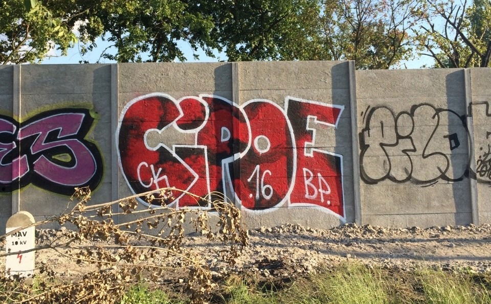 Graffiti Bombing - Photo by dirtyartterror - Cipoe, trainline, budapest (2016)