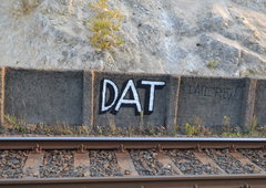 Graffiti Bombing - Photo by dirtyartterror (2016)