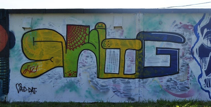 Graffiti Wall in Székesfehérvár - Photo by dirtyartterror - shitg (2016)