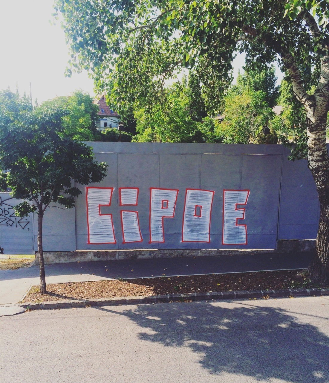 Graffiti Bombing - Photo by dirtyartterror - cipoe (2016)