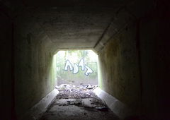 Graffiti Bombing - Photo by dirtyartterror (2015)