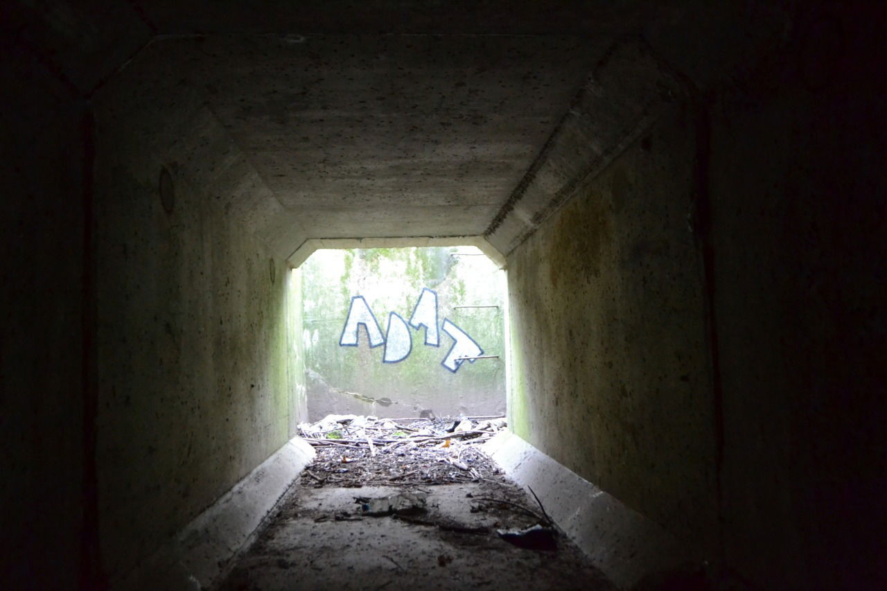 Graffiti Bombing - Photo by dirtyartterror (2015)