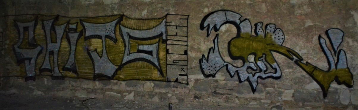 Graffiti Bombing - Photo by dirtyartterror