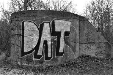 Graffiti Bombing - Photo by dirtyartterror (2015)