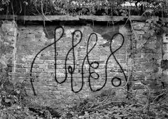 Graffiti Bombing - Photo by dirtyartterror (2009)
