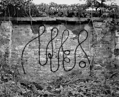 Graffiti Bombing - Photo by dirtyartterror (2009)