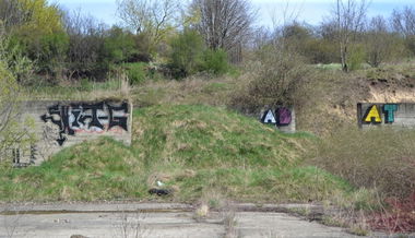 Graffiti Bombing - Photo by dirtyartterror - SHITG, ADAT, DAT (2015)