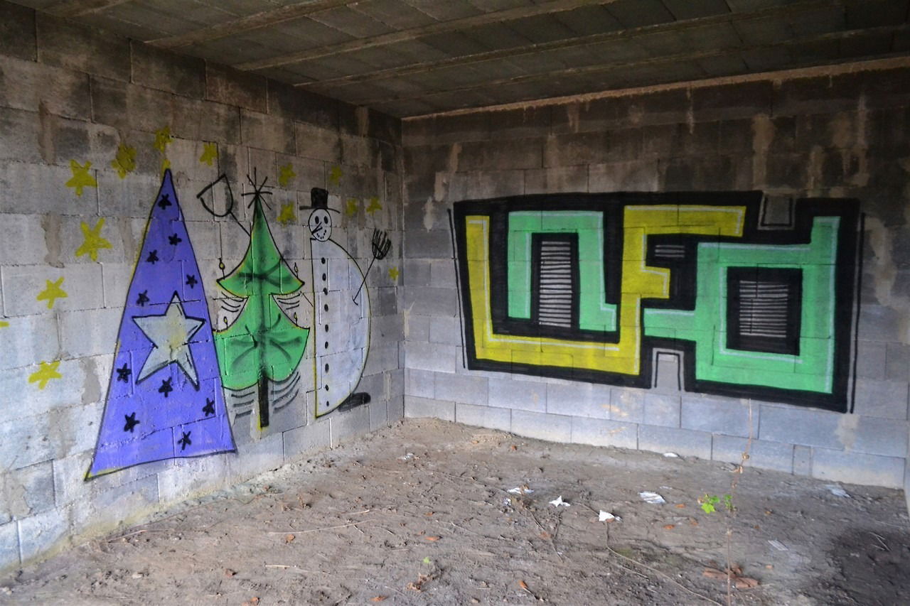 Graffiti Wall - Photo by dirtyartterror - aid, info, rhl (2017)