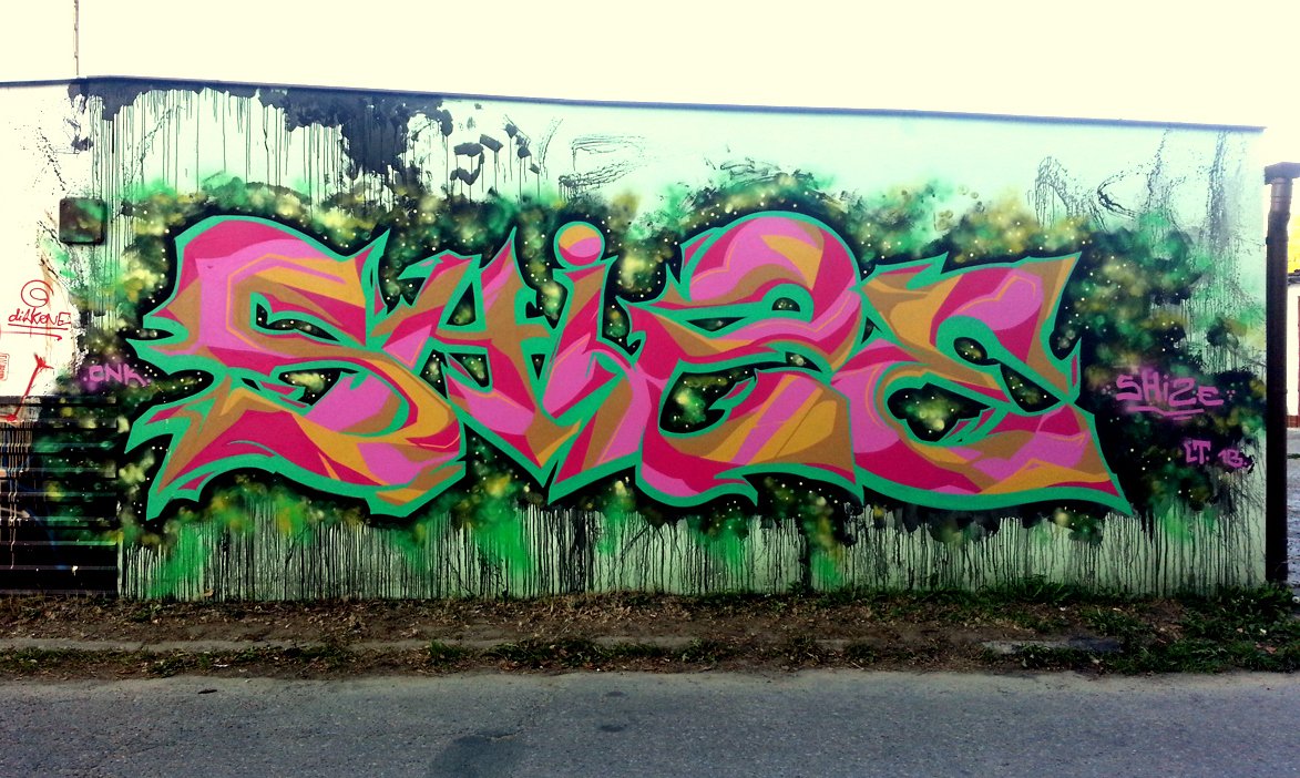 Graffiti Wall in Nowy Sacz - Photo by dirtyfingaz - shize, cnk, nws (2013)