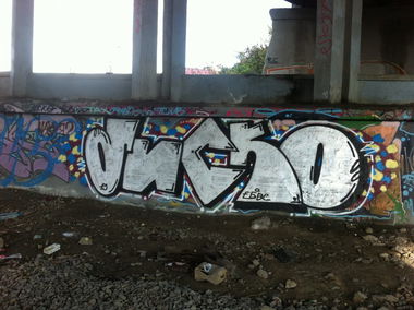 Graffiti Bombing - Photo by disco