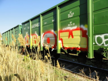 Graffiti Train - Photo by disma_ovosch - fr8, freight, ???????? (2012)