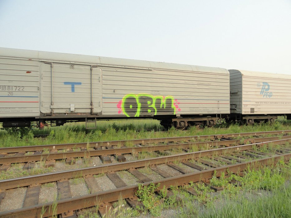 Graffiti Train - Photo by disma_ovosch - fr8, freight, ???? (2012)