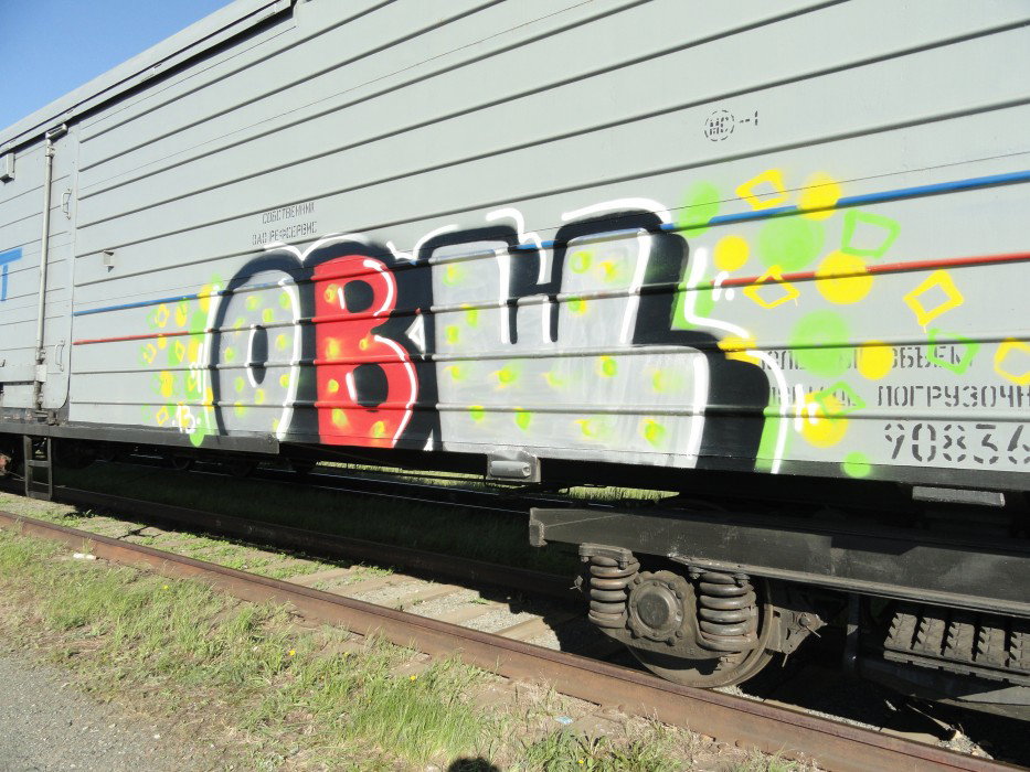 Graffiti Train - Photo by disma_ovosch - fr8, freight, ???? (2013)