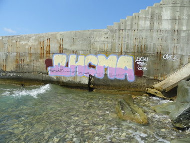 Graffiti Bombing - Photo by disma_ovosch