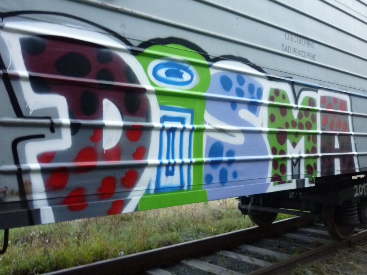 Graffiti Train - Photo by disma_ovosch - Russia, freight, fr8 (2013)