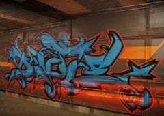 Photo #24981 by Belt