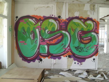 Graffiti Bombing in Bonn - Photo by djangooo - osg