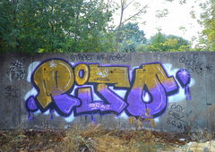 Photo #25598 by ROOSLAVONE