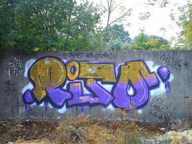 Graffiti Bombing - Photo by dobry_koles