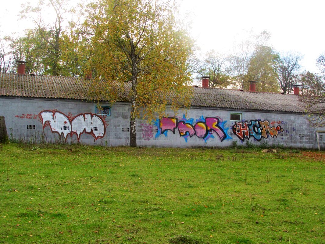 Graffiti Bombing - Photo by docThor - DM, Thor, HCR (2013)