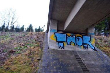 Graffiti Bombing - Photo by docThor - Thor, HCR (2013)