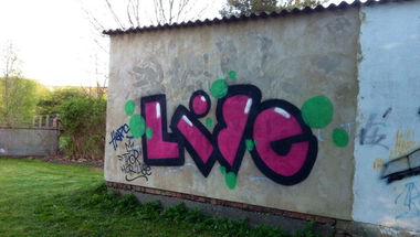 Graffiti Bombing - Photo by docThor - Libe, Thor, HCR (2014)