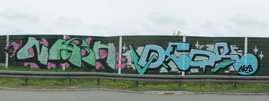 Graffiti Bombing - Photo by dogtowner - nash, deor