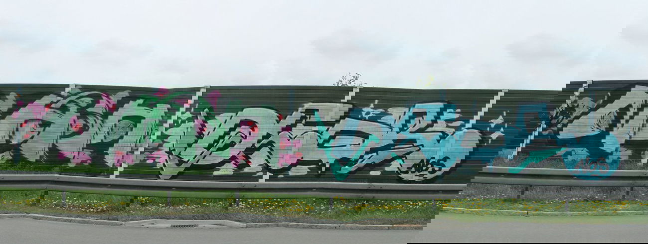 Graffiti Bombing - Photo by dogtowner - nash, deor