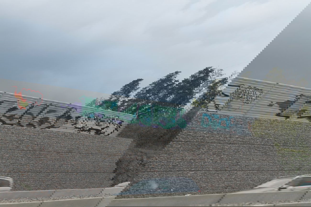 Graffiti Bombing - Photo by dogtowner - hccb, nash, deor