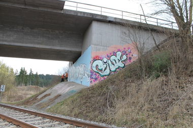 Graffiti Bombing - Photo by dogtowner - cindeye
