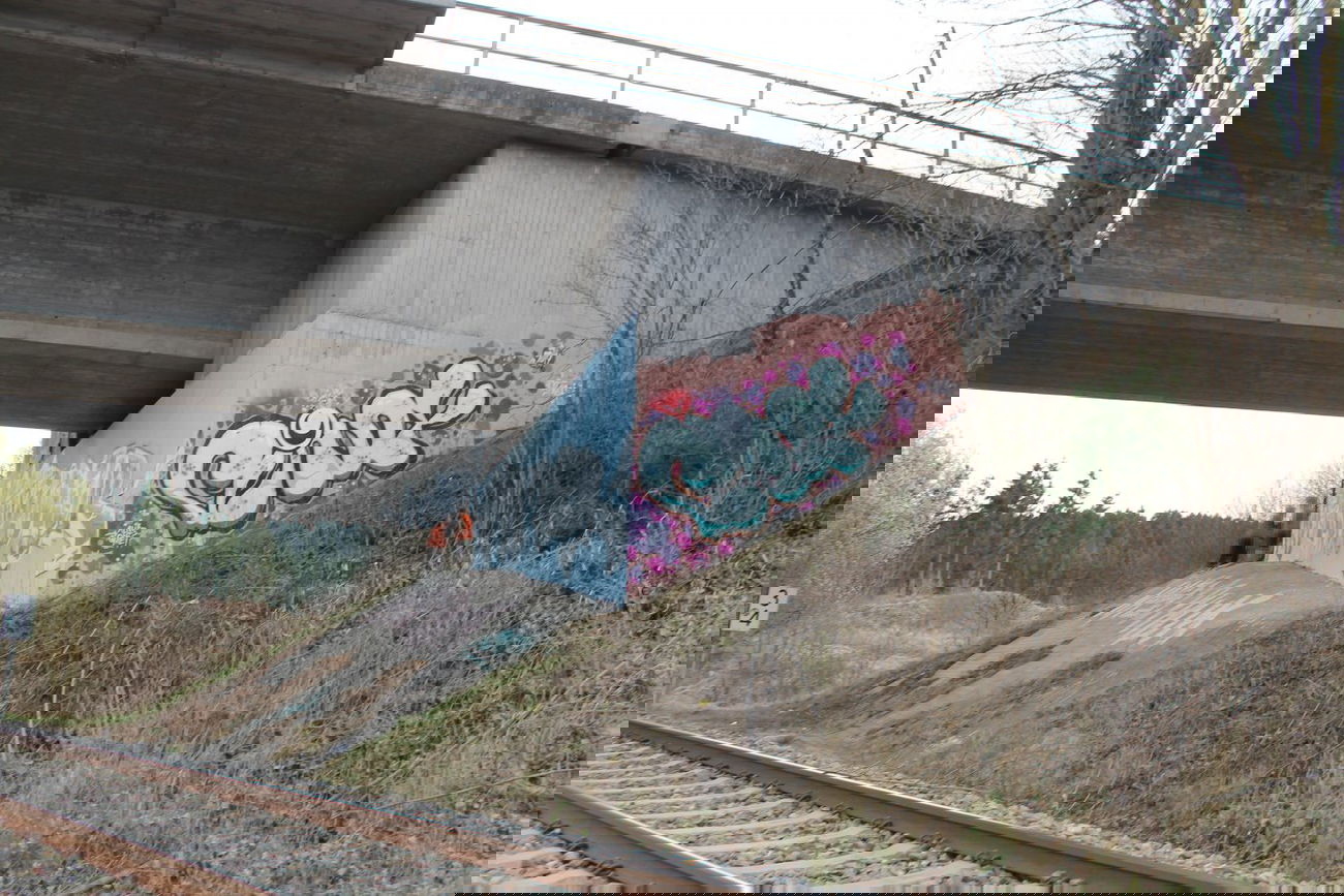 Graffiti Bombing - Photo by dogtowner - cindeye