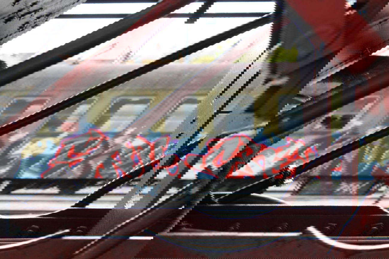 Graffiti Train - Photo by dogtowner - snk