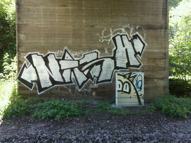 Graffiti Bombing - Photo by dogtowner - nash, cat