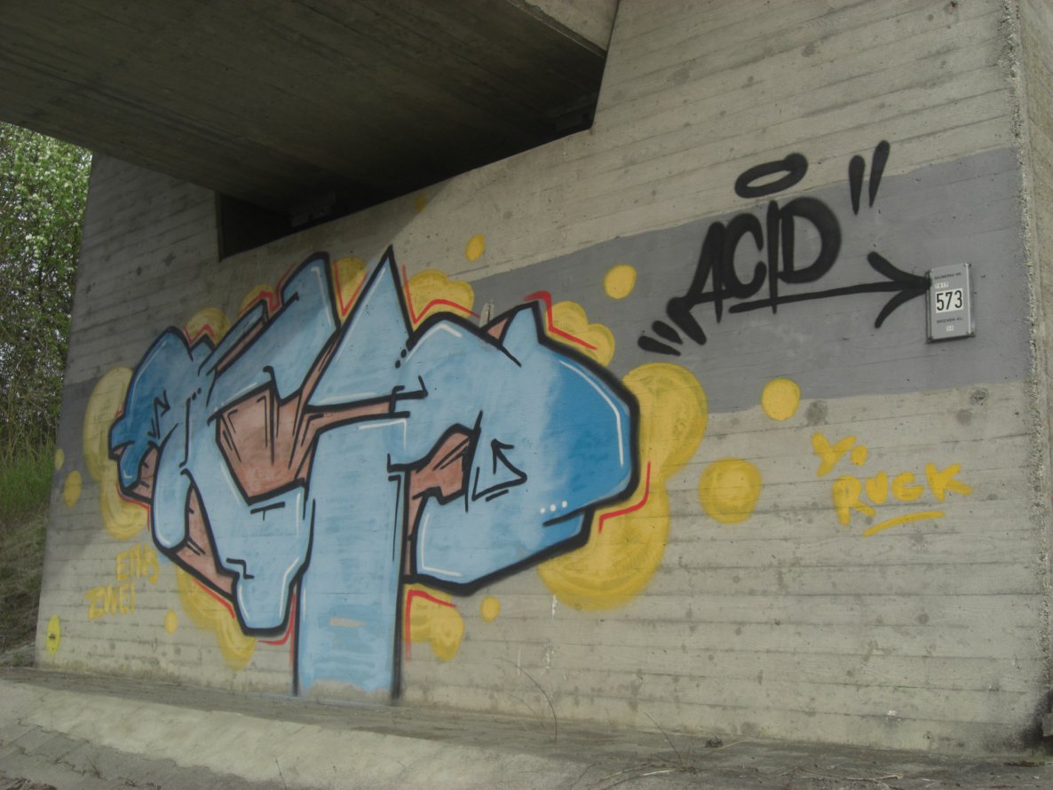 Graffiti Bombing - Photo by dogtowner - acid