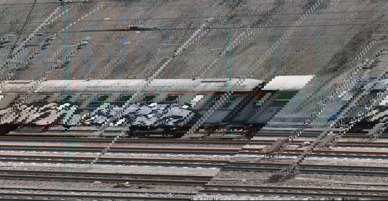 Graffiti Train - Photo by dogtowner - naash, nash, samsn