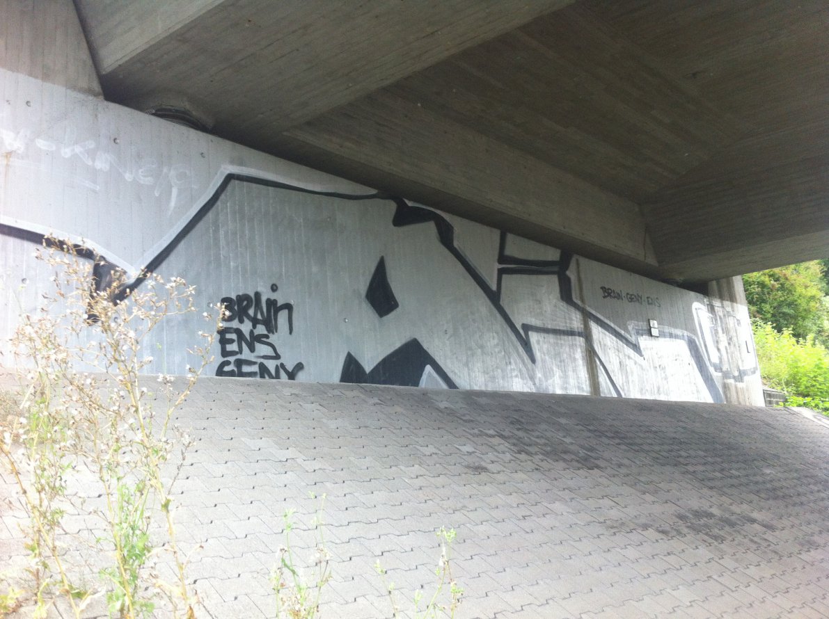 Graffiti Bombing - Photo by dogtowner - ai, uran